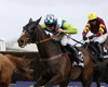 Spreadex other card markets horse racing spread betting
