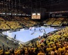 spreadex-sports-spread-betting-top-5-bets-of-march-2019-swedish-handball-500x400-100k