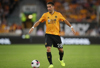Wolves Joao Moutinho
