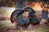 thanksgiving trade progress spread betting financials