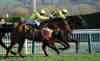 Spreadex sports spread betting Cheltenham Festival 2020 Spread Betting Roundup